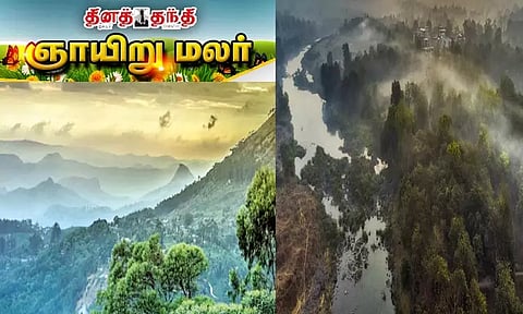 தண்ணீர் இல்லாமல் வாழும் 62 புதிய தாவரங்கள் கண்டுபிடிப்பு