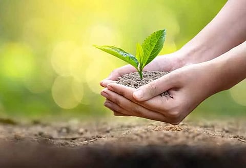 மரக்கன்றுகள் நடும் நிகழ்ச்சி