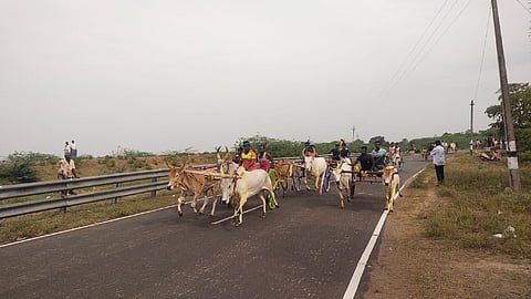 கருப்பூரில் மாட்டுவண்டி பந்தயம்