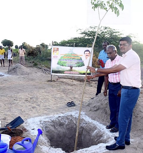 ராமநாதபுரத்தில் 12 ஆயிரம் மரக்கன்றுகள் நடும் பணி