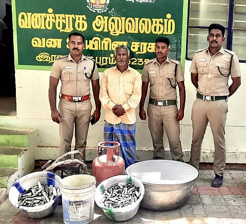 வீட்டில் பதுக்கிய 45 கிலோ கடல் அட்டைகள் பறிமுதல்