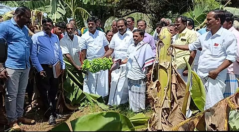 பாதிக்கப்பட்ட விவசாயிகளுக்கு இழப்பீடு வழங்கப்படும்