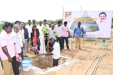 ஆவுடையார்கோவில், திருமயத்தில் மரக்கன்றுகள் நடும் நிகழ்ச்சி