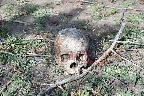 கண்மாயில் மனித எலும்புக்கூடு கிடந்ததால் பரபரப்பு