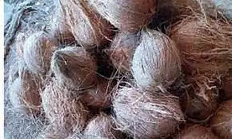 ஒழுங்குமுறை விற்பனைக்கூடத்தில் ரூ.5¼ லட்சத்துக்கு தேங்காய் ஏலம்