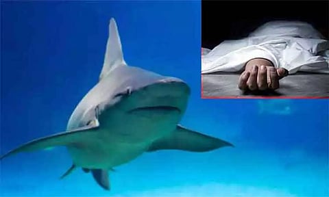 எகிப்தில் கடலில் குளித்த ரஷிய பயணி சுறாமீன் தாக்கி உயிரிழப்பு