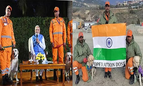 துருக்கி நிலநடுக்க மீட்பு பணியின்போது சிறுமியின் உயிரை காத்த மோப்ப நாய் ஜூலிக்கு விருது