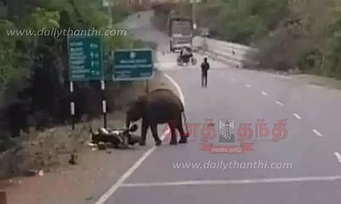 ஹனூர் அருகே மோட்டார் சைக்கிளை துவம்சம் செய்த காட்டுயானை
