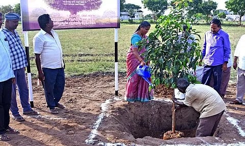 மரக்கன்றுகள் நடும் விழா