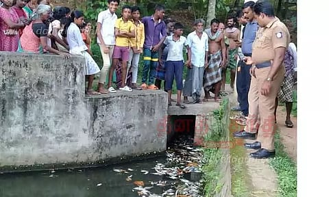 குளத்தில் செத்து மிதந்த மீன்கள்