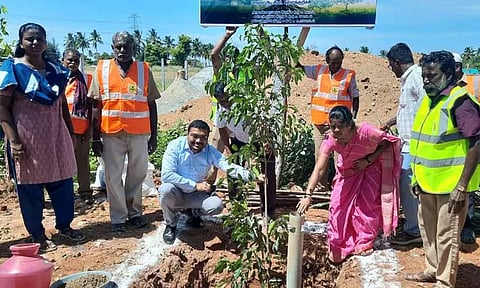 கள்ளக்குறிச்சி மாவட்டத்தில் 12 ஆயிரம் மரக்கன்றுகள் நடும் திட்டம் கலெக்டர் ஷ்ரவன் குமார் தொடங்கி வைத்தார்