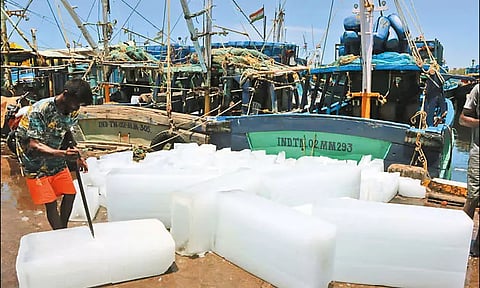 மீன்பிடி தடைகாலம் முடிவடைய உள்ளதால் கடலுக்குள் செல்ல தயாராகும் காசிமேடு மீனவர்கள்