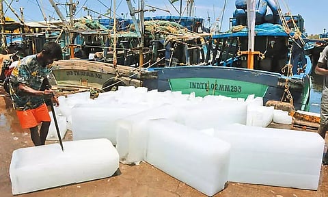 மீன்பிடி தடைகாலம் முடிவடைய உள்ளதால் கடலுக்குள் செல்ல தயாராகும் காசிமேடு மீனவர்கள்