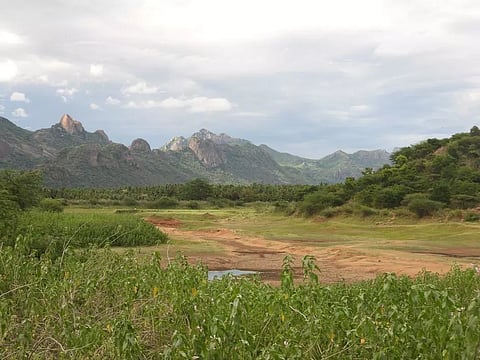மயிலாடும்பாறை அருகே வாய்க்கால் ஆக்கிரமிப்பால் வறண்ட கண்மாய்கள்