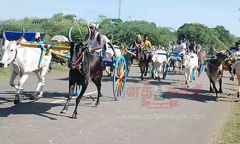 கல்லல், திருப்பத்தூர் பகுதியில் மாட்டு வண்டி பந்தயம்