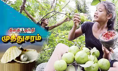 இனிப்பு தேவையை ஈடுசெய்யும் பழங்கள்