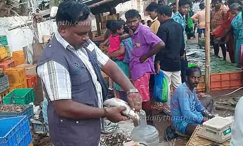 கெட்டுப்போன மீன்கள் பறிமுதல்