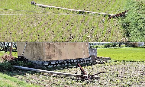 அருங்குளம் ஊராட்சியில் சூறைக்காற்றில் சாய்ந்த மின்கம்பங்களை சீரமைக்காததால் விவசாயிகள் அவதி