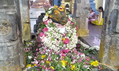 நந்தி பகவானுக்கு சிறப்பு அபிஷேகம்