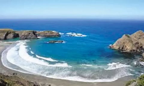 பாம்புகள் இல்லாத 'அட்லாண்டிக் கடல்'