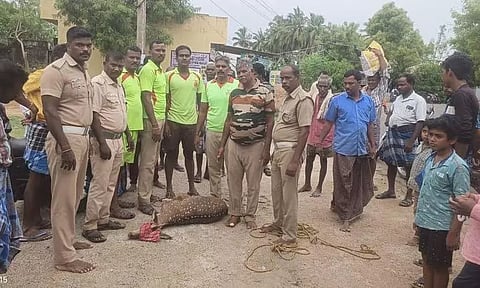 கிணற்றில் தவறி விழுந்த புள்ளி மான் உயிருடன் மீட்பு