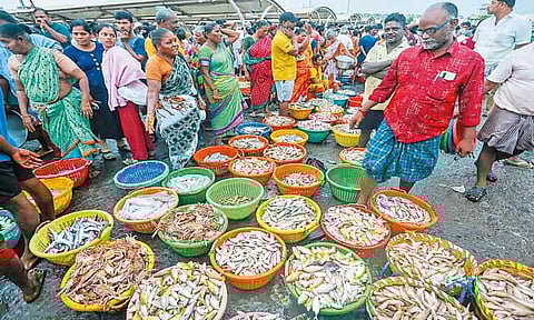 மீன்பிடி தடைகாலம் முடிந்து முதல் ஞாயிற்றுக்கிழமை என்பதால் காசிமேட்டில் மீன் வாங்க குவிந்த பொதுமக்கள்