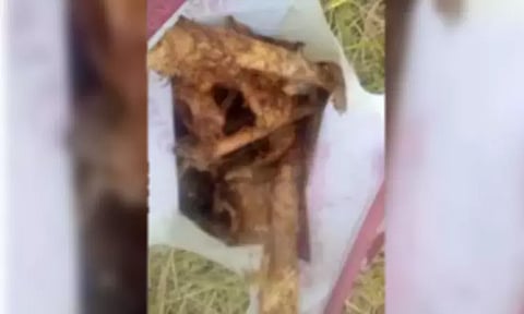 வயலில் கிடந்த மனித எலும்புக்கூடு