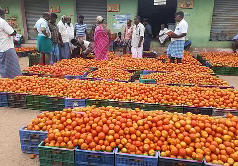 தக்காளி விலை கிடு, கிடு உயர்வு