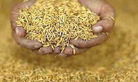 40 லட்சம் டன்னுக்கு மேல் நெல் கொள்முதல்