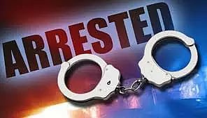 கோரேகாவ்- முல்லுண்ட் லிங்க் ரோட்டில் குதிரை வண்டி பந்தயம் நடத்திய 4 பேர் கைது