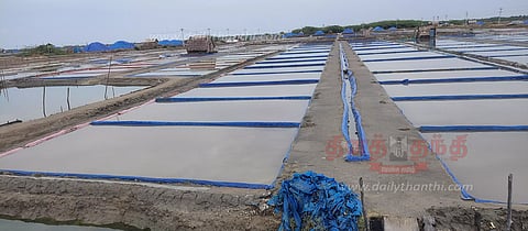 வேதாரண்யத்தில், உப்பு உற்பத்தி பாதிப்பு