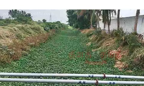 புதர் மண்டி கிடக்கும் பாசன வாய்க்கால்