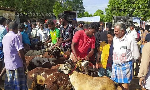 பாவூர்சத்திரம் சந்தையில் ரூ.1 கோடிக்கு ஆடுகள் விற்பனை