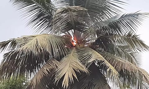 சுவர் இடிந்து விழுந்து பெண் பலி