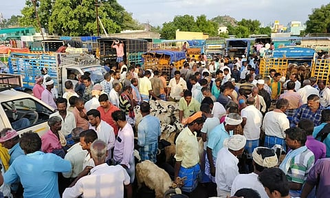 செஞ்சி வாரச்சந்தையில் ரூ.6 கோடிக்கு ஆடுகள் விற்பனை