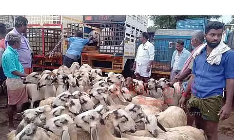 பக்ரீத் பண்டிகையையொட்டி புதுக்கோட்டையில் ரூ.2 கோடிக்கு ஆடுகள் விற்பனை