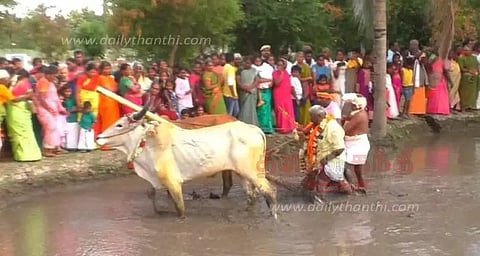 பேரூர் பட்டீசுவரர் கோவிலில் ஆனி உற்சவ நாற்று நடவு விழா