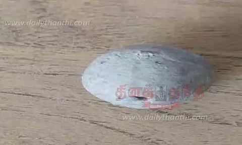 பாலூட்டும் பழங்கால சங்கு கண்டெடுப்பு