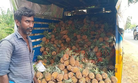 கேரளாவில் இருந்து அன்னாசி பழங்கள் வரத்து அதிகரிப்பு