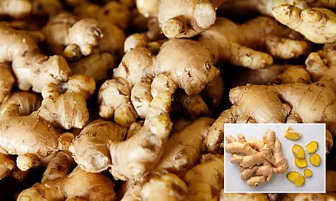 இஞ்சி கிலோ ரூ.230-க்கு விற்பனை