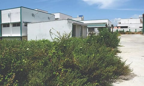 புதர் மண்டி கிடக்கும் ஒழுங்குமுறை விற்பனைக்கூட வளாகம்