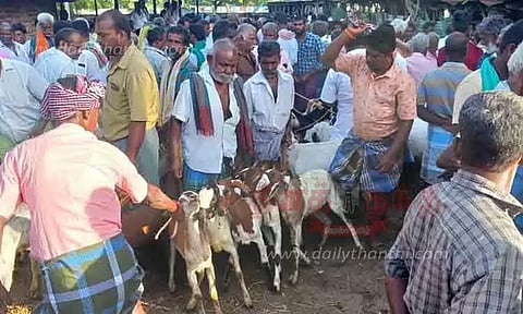 பக்ரீத் பண்டிகை:வாடிப்பட்டி, டி.கல்லுப்பட்டி சந்தையில் ரூ.3 கோடிக்கு ஆடுகள் விற்பனை