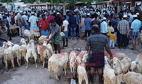 பக்ரீத் பண்டிகையையொட்டி பள்ளப்பட்டியில் ஆட்டுச்சந்தை களை கட்டியது