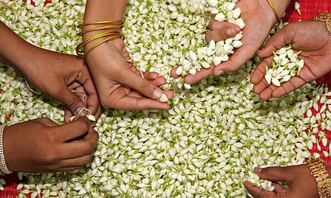 மதுரை மாட்டுத்தாவணி மலர் சந்தையில் பூக்கள் விலை கணிசமாக உயர்வு..!