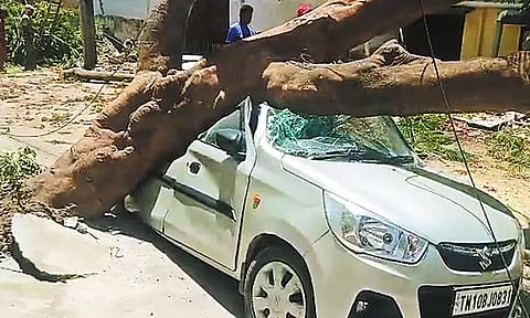 போரூரில் மரம் சாய்ந்ததில் கார் சேதம்