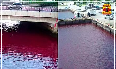 ஜப்பானில் ரத்த சிவப்பு நிறத்தில் மாறிய நதி நீர் - பொதுமக்கள் அச்சம்