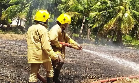 கரும்பு தோட்டத்தில் தீ