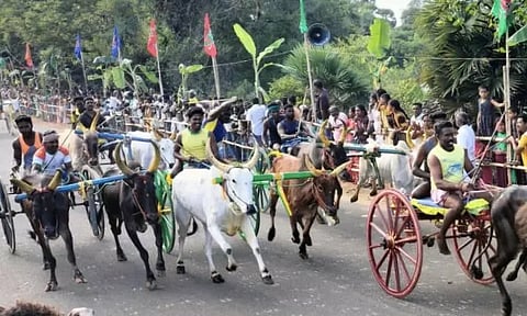 மாட்டு வண்டி எல்கை பந்தயம்