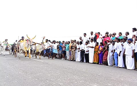 விளாத்திகுளம் தொகுதியில் ரூ.3.64 கோடி மதிப்பில் கிராமச்சாலை..!!