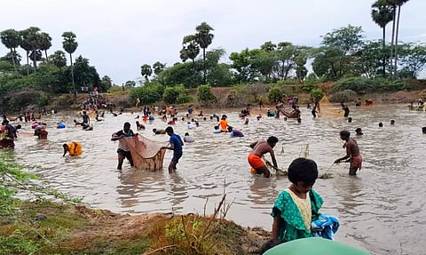 அழிஞ்சி கண்மாயில் மீன்பிடி திருவிழா
